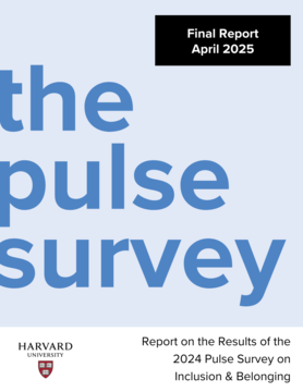 Cover for the Pulse Survey Executive Summary reading "the pulse survey Final Report April 2025, Report on the Results of the 2024 Pulse Survey on Inclusion & Belonging".